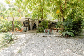 Bajo el Arbol B&B